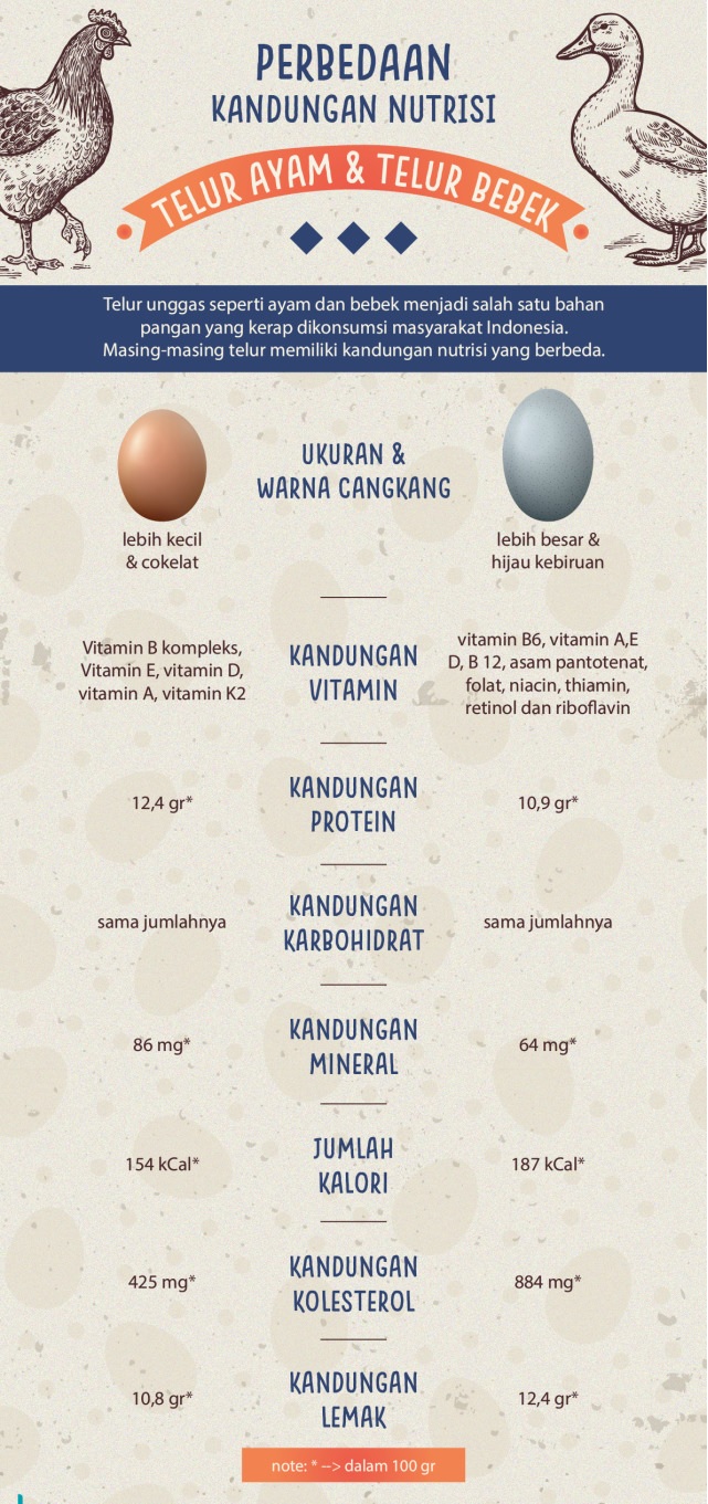 Perbandingan Telur Ayam vs Bebek