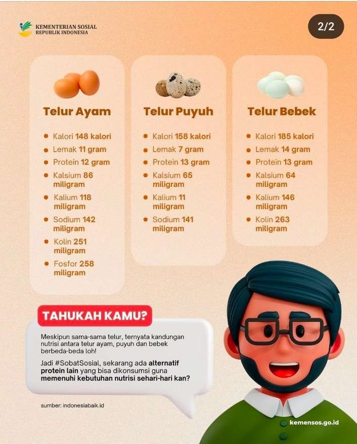 Kelebihan Masing-masing